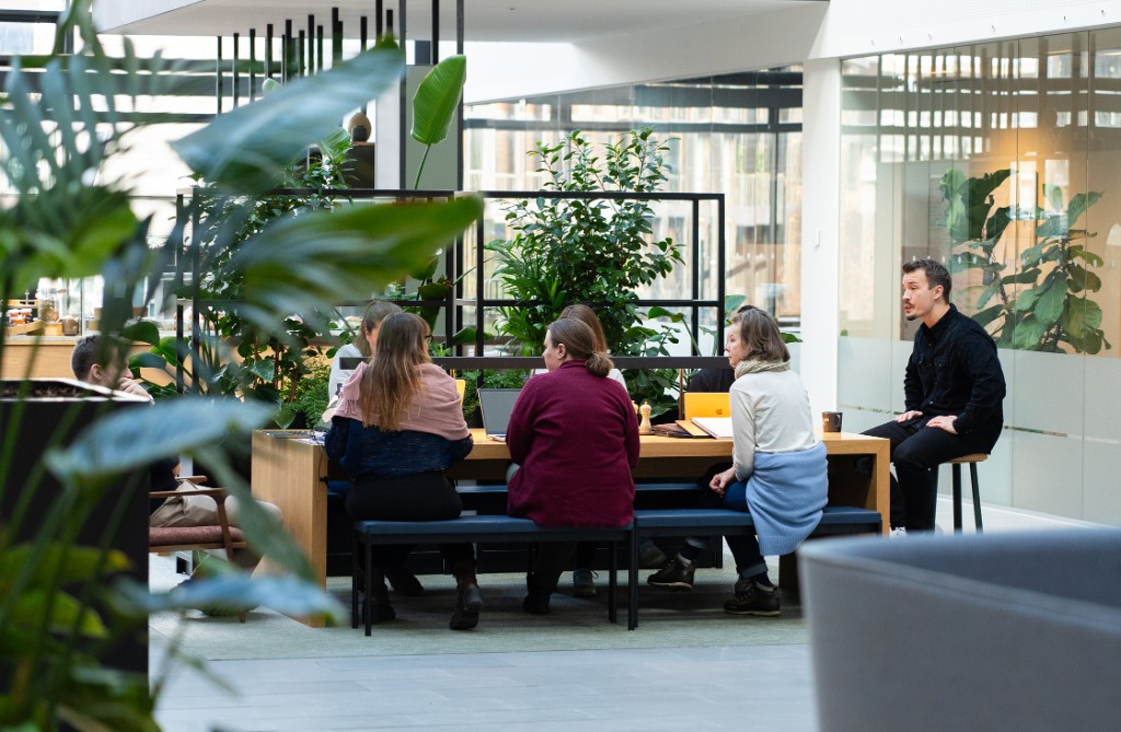 Team around a light wood table framed by indoor plants — biophilic, open-plan office.
